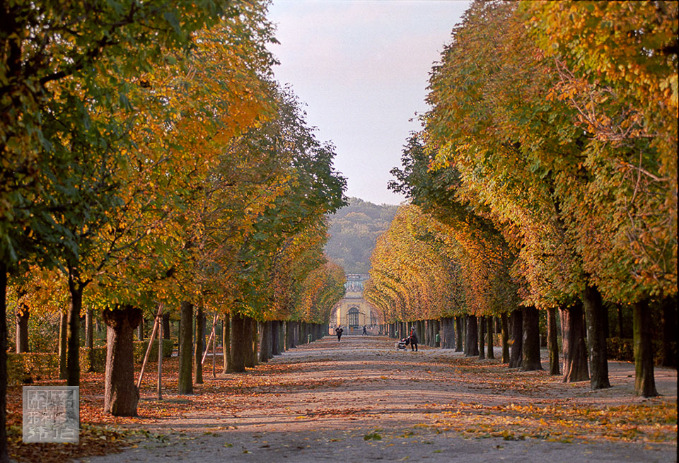 schöbrunn-allee001.jpg